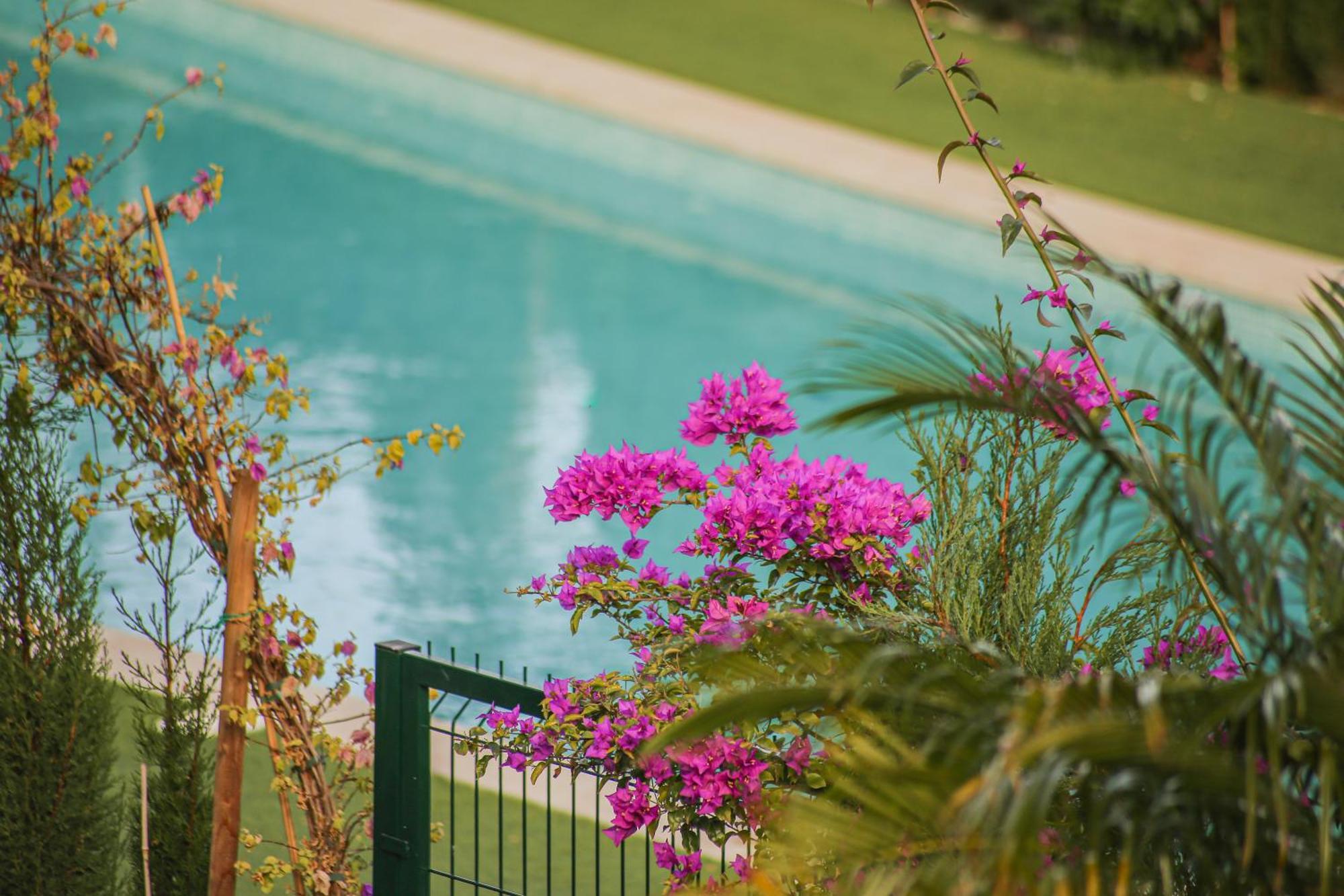 Modern Flat With Montgo View Apartment เดเนีย ภายนอก รูปภาพ